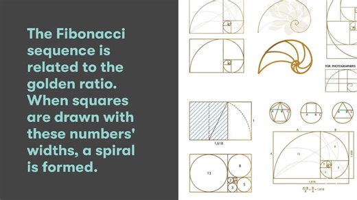 Tutor Doctor of North Jersey on Instagram: "Happy Fibonacci Day! 📐✨ Discover the magic of the Fibonacci sequence, from nature’s golden spirals to mathematical marvels. Can you spot the pattern? 👇 #FibonacciDay #MathMagic #GoldenRatio #tutordoctor #bergencountyNJ #wecareNJ"