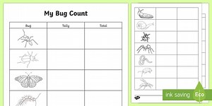 Bug Count Outdoor Worksheet