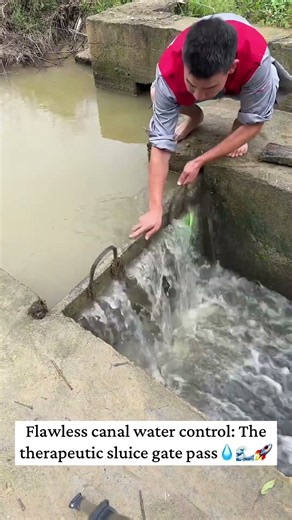 Flawless canal water control: The therapeutic sluice gate pass🌊#agriculture #irrigation#satisfying
