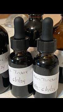 How to make Mullein tincture