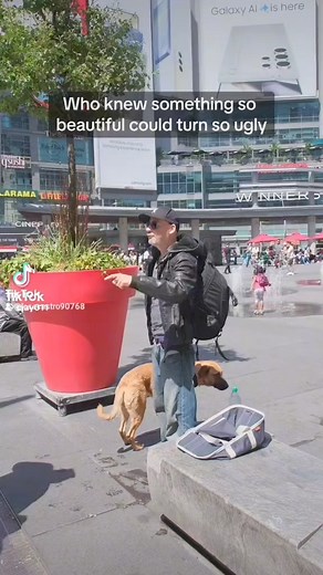 #things go wrong outside of the Eaton centre promoted by jose castro jcx joselito29 that's it for reels for today , this guys are hellarious meta universe. | Jose Castro | Facebook