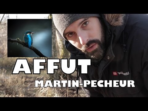 AFFÛT MARTIN-PÊCHEUR ( Photographie animalière)