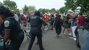 Police pepper spray protesters during Netanyahu visit