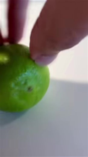 12K views · 199 reactions | How to grow a baby lime tree! | Creative Tip | Facebook