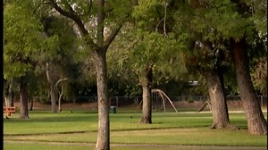 Closing to Baby Einstein: Neighborhood Animals 2004 DVD