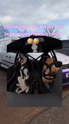 is this why @Dub van Dan wont get in my van 🤣🤣#CapCut #vw #volswagen #vwcaddymaxi #tiktokmakeherfamous