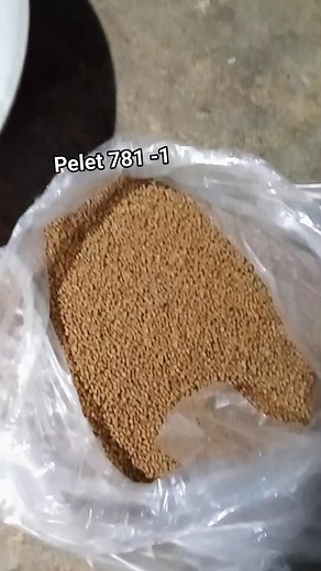 144K views · 459 reactions | Tutorial gawe bolo Mawan Mawan Reus Dimas Rynn Turiyadi Turiyadi Sakri Sakri dan bolo" lainya.. pelet 781 -1 = 1kg blender sampai Alus... Terus campur amisan bebas..AQ gawe tengiri belut/TB 2 sendok makan..terus campur aduk sampai Roto...terus wadah i sing rapet...Wis kari budal...Mugo" cocok...tapi iling Iki cuma usaha...masalah hasil tergantung rejeki..ok bolo"... #mancingmania #salamsatuhoby #tutorialracikumpan #malang #jawatimur | Apem | Facebook