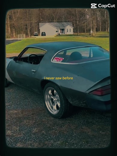 Appreciating Life's Imperfections