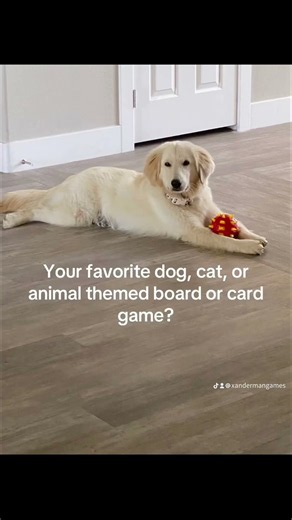 Share your favorite animal-themed board or card game? Cute dog! #dog #gamenight #tablegames