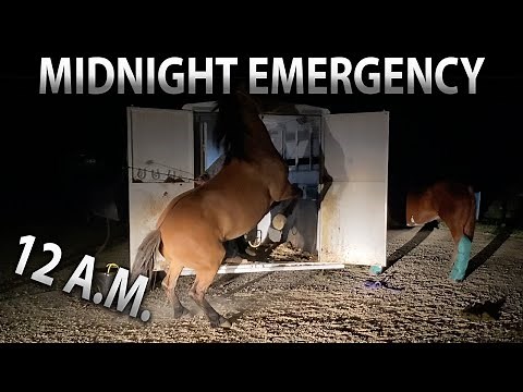 Two Trail Riders are in need of my help