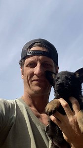 3.2K views · 139 reactions | The German Shepherd puppies are in and will be available for their new forever homes on Wednesday. | 1 Love Dog Rescue | Facebook