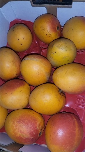 lalli chotilalli (@lalli.chotilalli)’s videos with original sound - lalli chotilalli