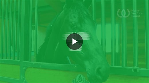 #meetthehwb | Horse Welfare Board