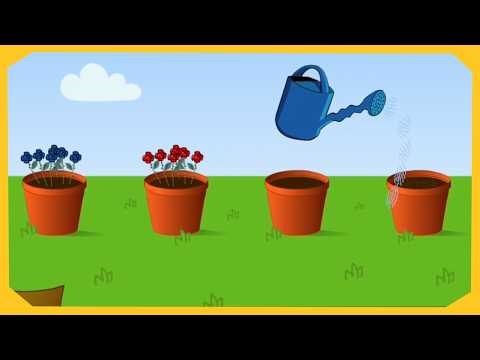 The Wiggles: Grow Your Own Wiggly Flowers Gameplay (Browser Game)