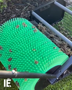 With this handy tool, easily collect fallen mulberries—no more fruit waste. 📸: Instagram/ @wypozyczalniasprzetulopatka | Interesting Engineering