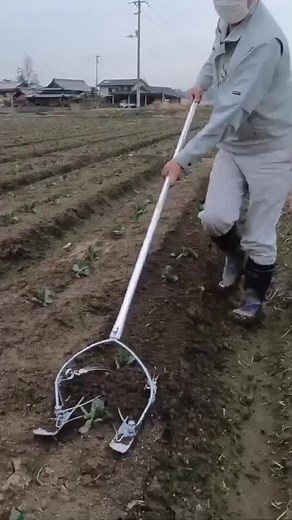 Root and village on TikTok