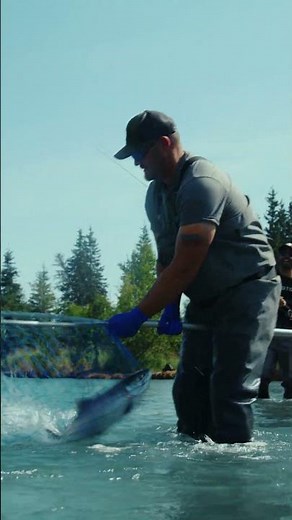 AKA Alaska Kenai Adventures River Fishing