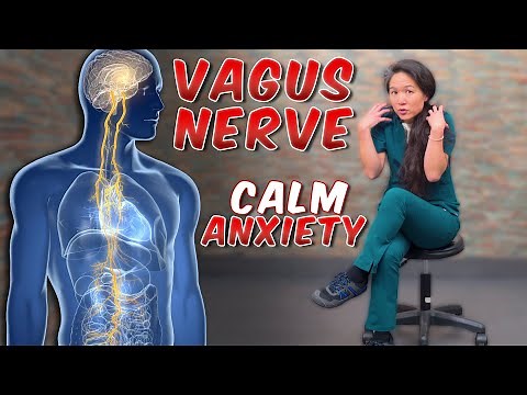 4 Ways to Calm Anxiety with Vagus Nerve Exercises