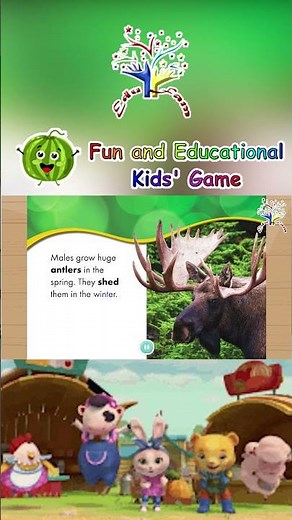 🫎🌲 Giant Moose! | Meet the Forest Kings! | Animal Safari ✨