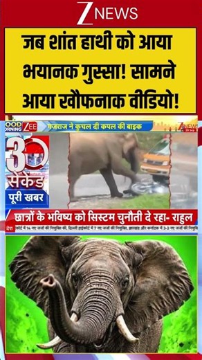 Viral Video | Elephant Anger & Attack:शांत रहने वाला 'गजराज' जब हुआ आग बबूला!