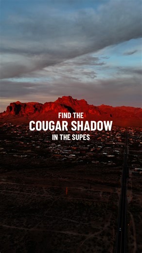 Just east of Mesa, the Superstition Mountains are home to a natural wonder-the Cougar Shadow. Appearing only twice a year, this awe-inspiring event happens around the third week of September and March as the sun sets, casting a perfect silhouette of a crouching cougar on the mountain's face. Here's what you need to know to catch this elusive sight: Best viewing spot - Goldfield Rd & Superstition Blvd | Timing - 30 mins before sunset. Pro tip: Bring water, binoculars, and a picnic to make the mos