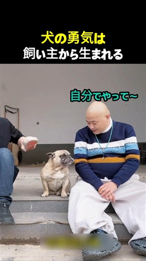 A dog's courage comes from its owner.