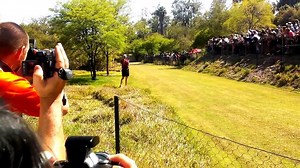 Cheetah Running on High Speed - Worlds Fastest Animal