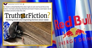 Did a Man Find a Dead Mouse in a Nearly Empty Red Bull Can?
