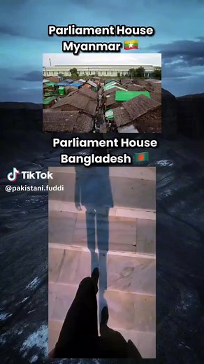 Did you know Burmese Cat? ပင့်ကူပဲမွေးတာနဟုတ်ဘူးblameတတ်တယ်😆#MyanmarArthropodsForum #fyp