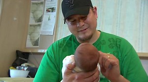 139K views · 2.3K reactions | A maternity photo shoot took an...