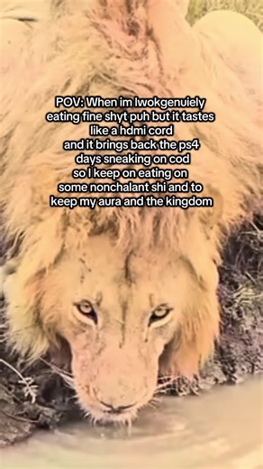 POV: Eating Fine Food Reminds Me of PS4 Days