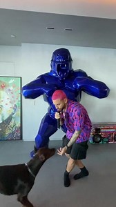 Instagram video by MALUMA • Feb 26, 2021 at 2:07 PM