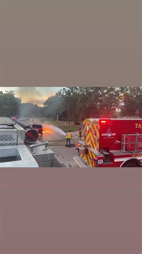 Scenic Loop Fire Rescue on Reels