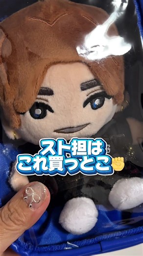手つなぎストぬいのポーチ収納法