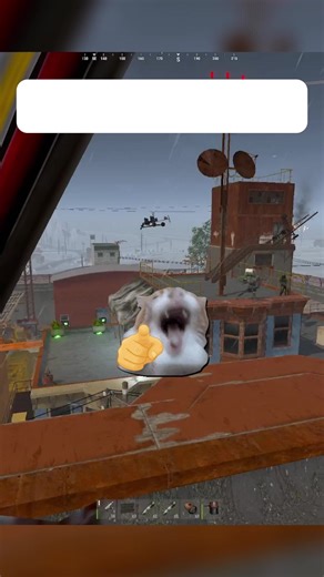 Warrior Triumphs in Rust Dog-Fighting Challenge