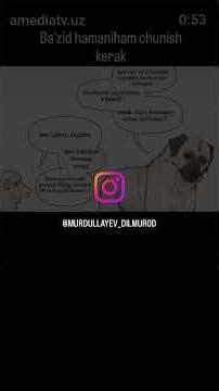 12 декабря 2025 г.