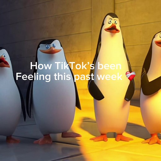 Funny Penguin of Madagascar Moments