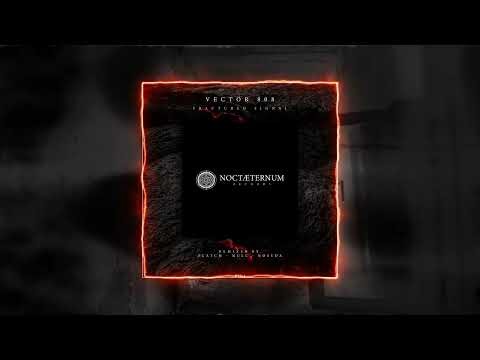 Vector 808 - Fractured Signal (Null - Rmx)