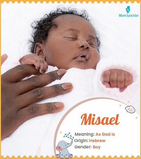 Misael Name Meaning, Origin, History, and Popularity