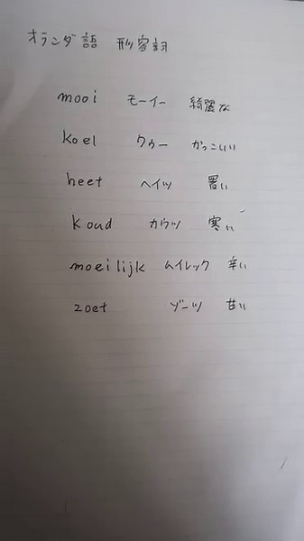 オランダ語 形容詞を覚えよう！ #shorts #寺子屋スタディ #オランダ語