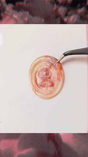 Wax seal stamp #waxsealkits #waxsealtiktok #waxstamp #waxseals #the waxseal #uktiktok #DIY #uk #fyp #foryou #waxsealkits