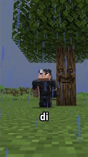 this is not a normal tree...