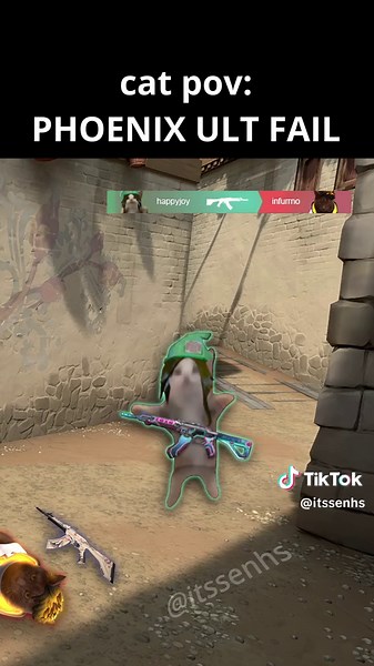 Valorant Cat Memes Compilation | Funny Valorant Clips ft. Phoenix Ult