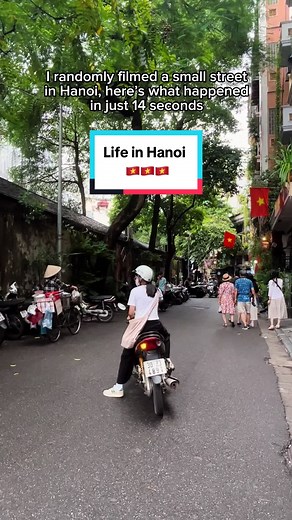 Ama.vietnam trên TikTok