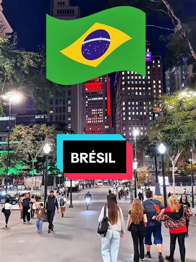 Connaître le Brésil 🇧🇷 #brasil #brasilia #riodejaneiro #pourtoi #goviralplease