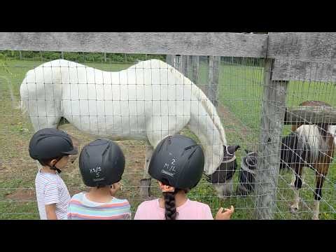 Horseback Riding (Official Music Video) #kidssongs 