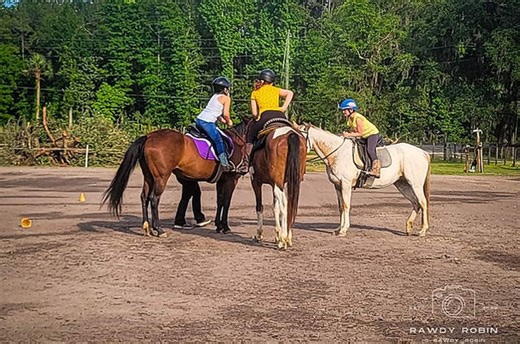 Stable Life Farm | riding lessons | 11035 Northeast Highway 314, Silver Springs, FL, USA