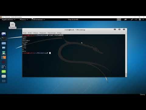 Kali Linux Course with Dave | Lesson 4 - Linux Sort Command Tutorial | Sort Files & Data Like a Pro