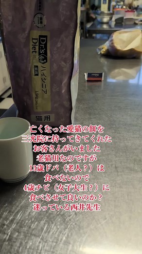 食事は重要ですからね #三光院 #精進料理 #精進料理総本山 #西井先生#西井香春@西井香春(竹之御所流精進料理継承者)660年伝統を尼寺三光院
