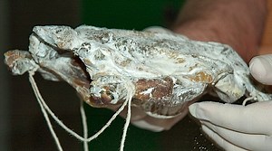 Mummifying chickens for fun and educational profit